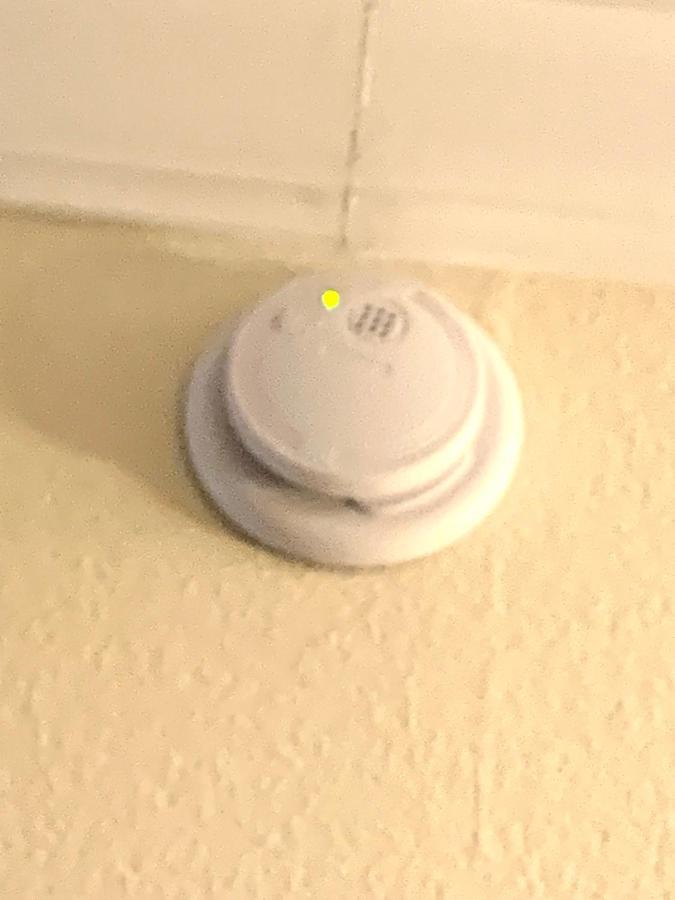 Disney Just 1 And A Quarter Mile Away, Blue Heron 1 Room 2 Bath,Amenities,6 Guests, Walk To Restaurants, No Fees At Check In オーランド エクステリア 写真